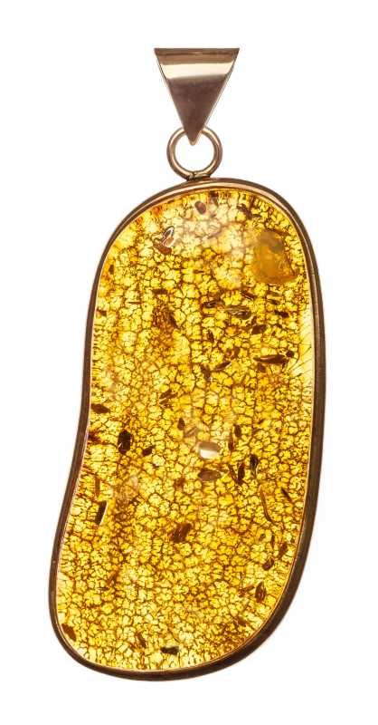 19 g Baltic Amber Pendant