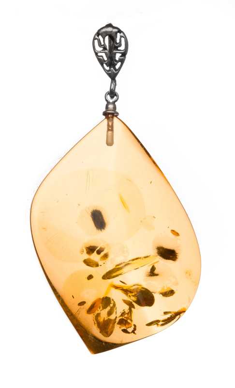 9 g Baltic Amber Pendant
