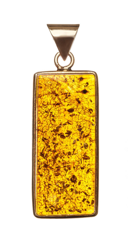 6 g Baltic Amber Pendant