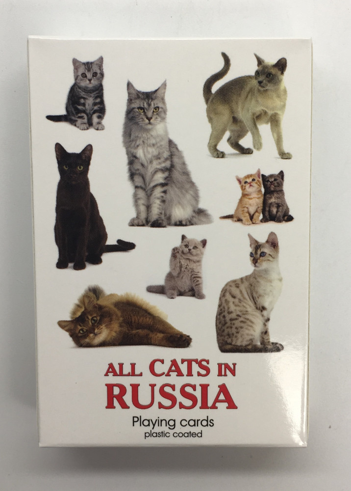 Cats in Russia Playing Cards