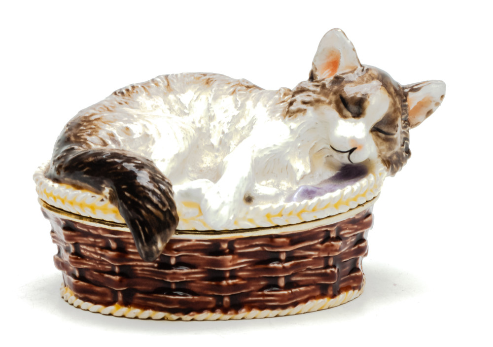 45 mm Cat in the Basket