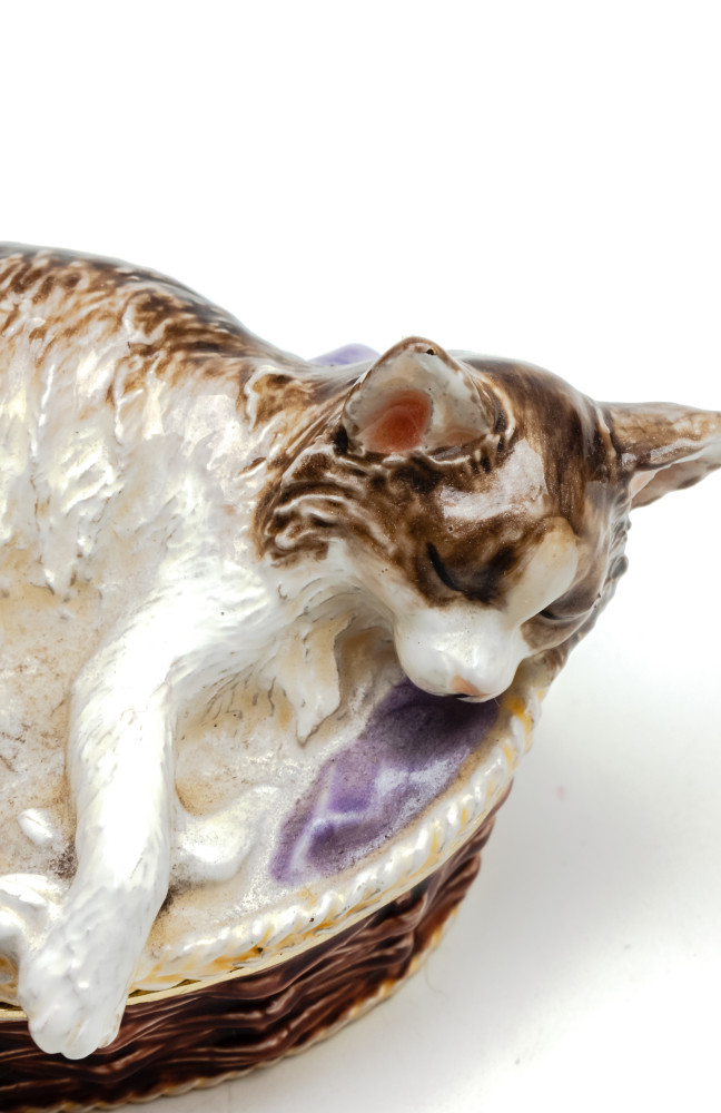 45 mm Cat in the Basket