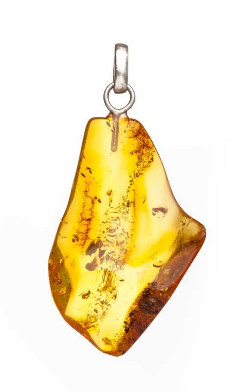 5 g Baltic Amber Pendant