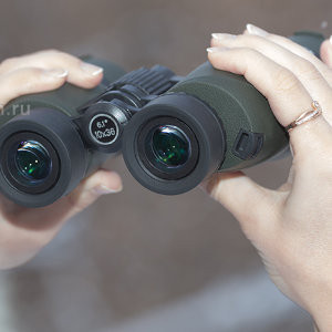 Sturman 8x36 binoculars green