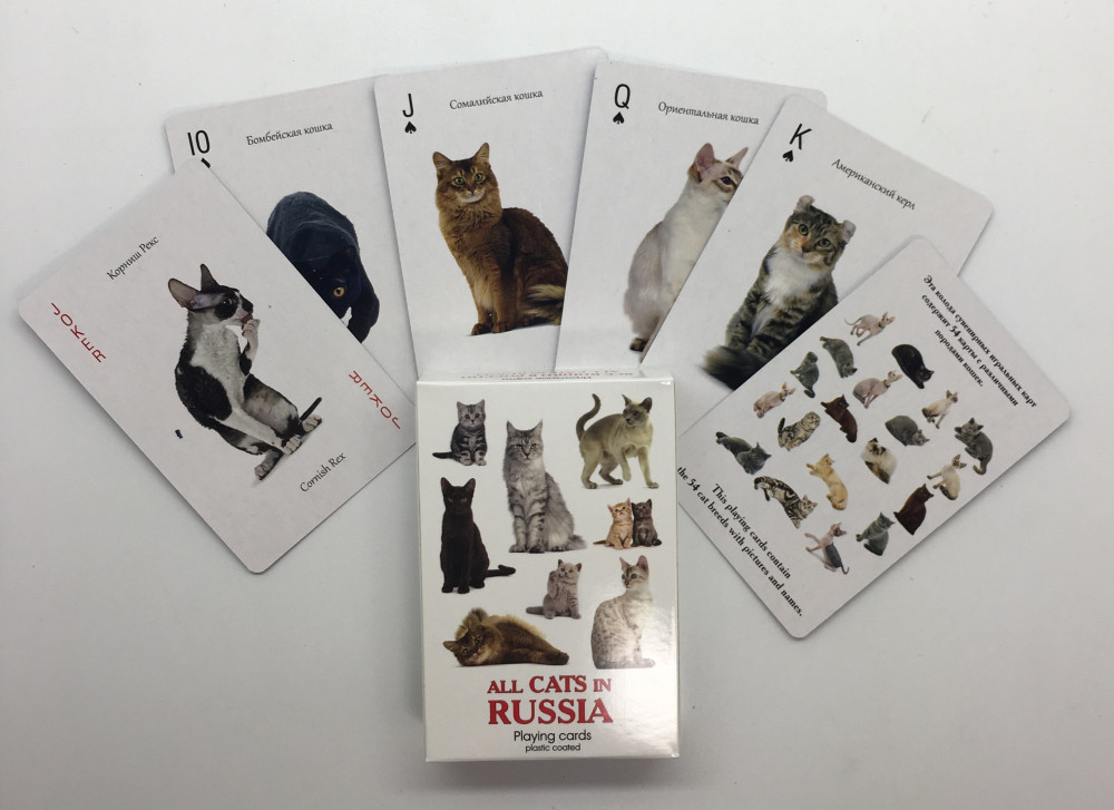 Cats in Russia Playing Cards