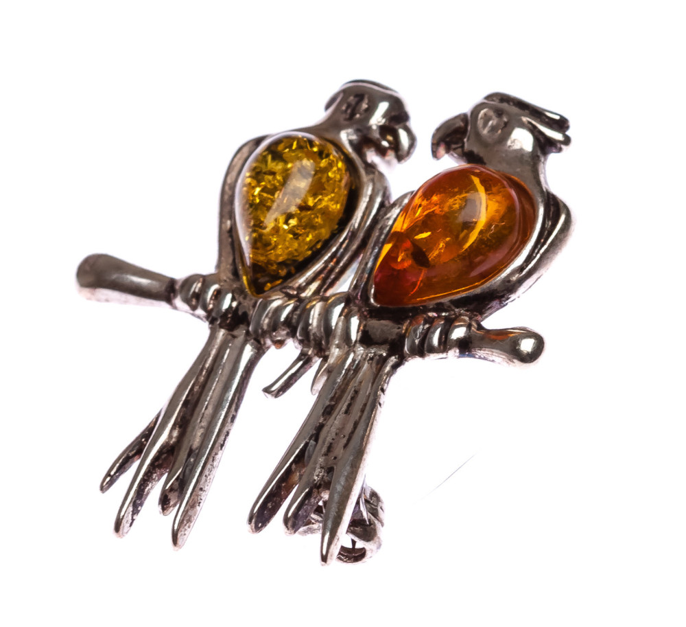 4 g Parrots Baltic Amber Brooch