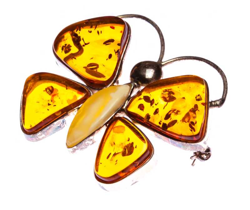 20 g Butterfly Baltic Amber Brooch