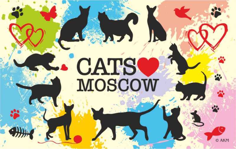 Магнит "CATS MOSCOW" 10х6,3 см