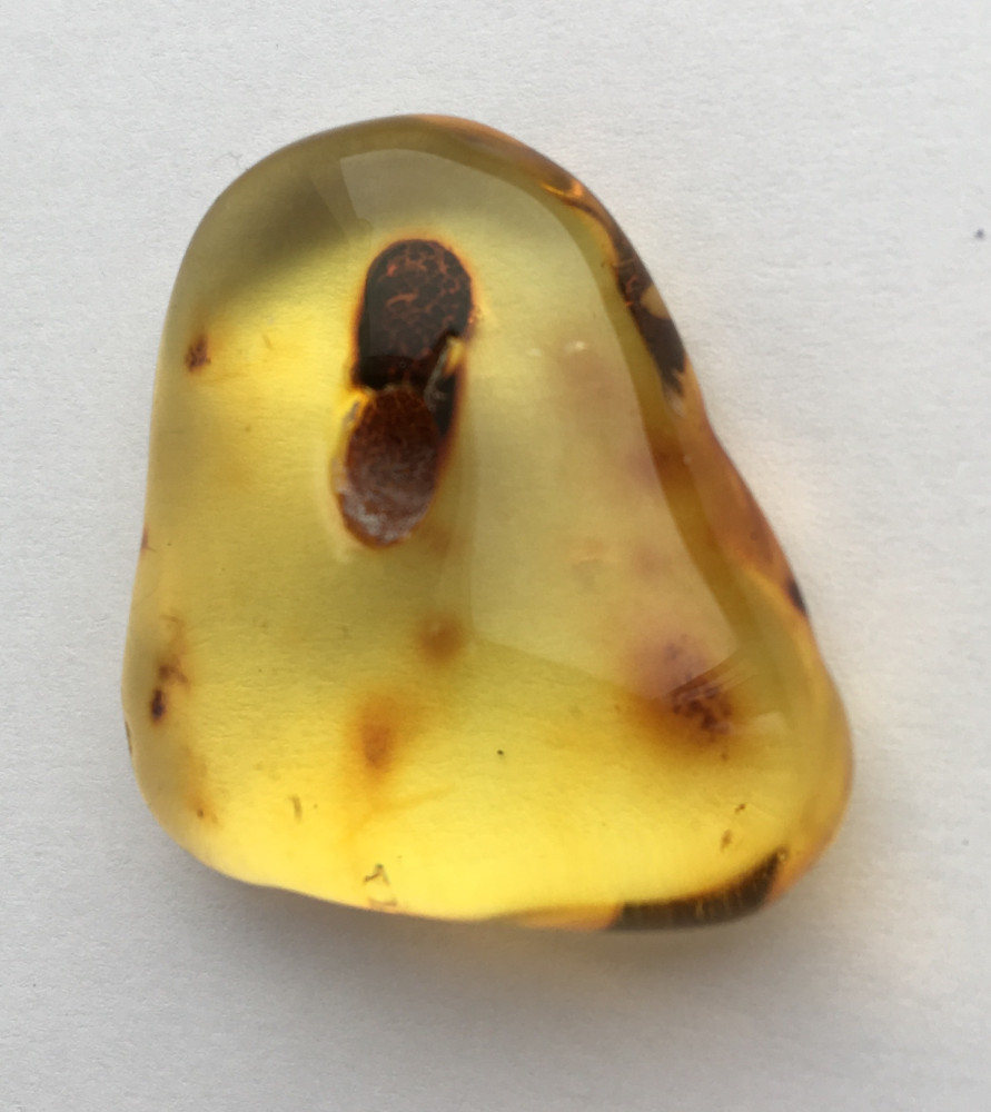 25 ct Amber Stone from Baltic Sea (by Yury Amber)