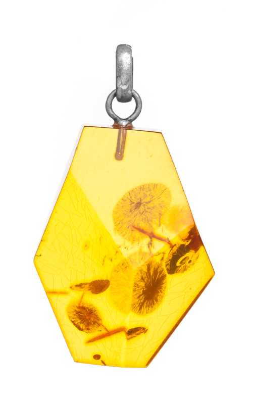 8 g Baltic Amber Pendant