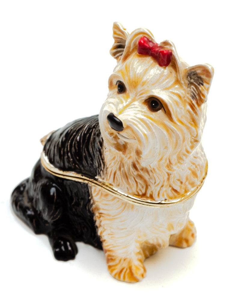 65 mm Yorkshire Terrier Jewellery Box