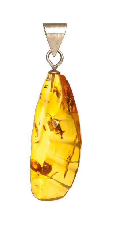 5 g Baltic Amber Pendant