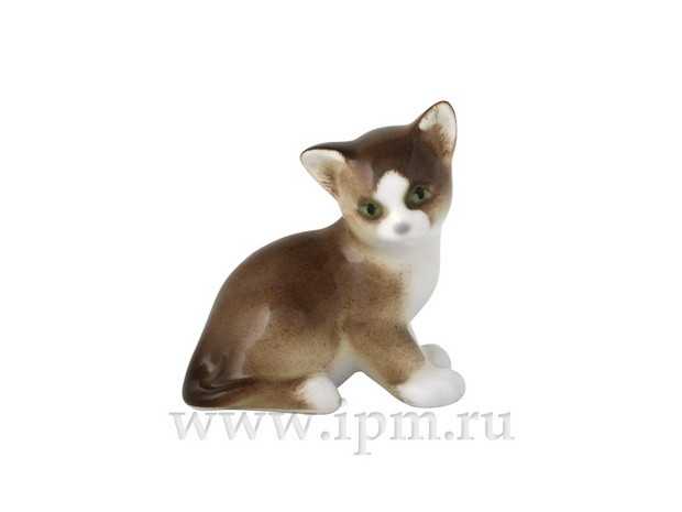 Скульптура Котенок парамоша коричневый арт. 82.50637.00.1