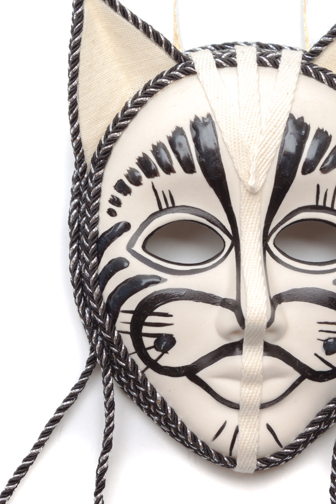 The Cat Porcelain Mask